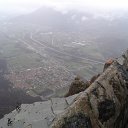 tor (51)